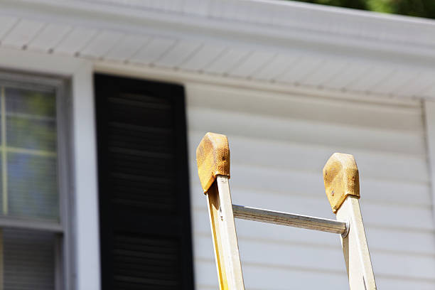 Best Custom Siding Design  in Chetek, WI